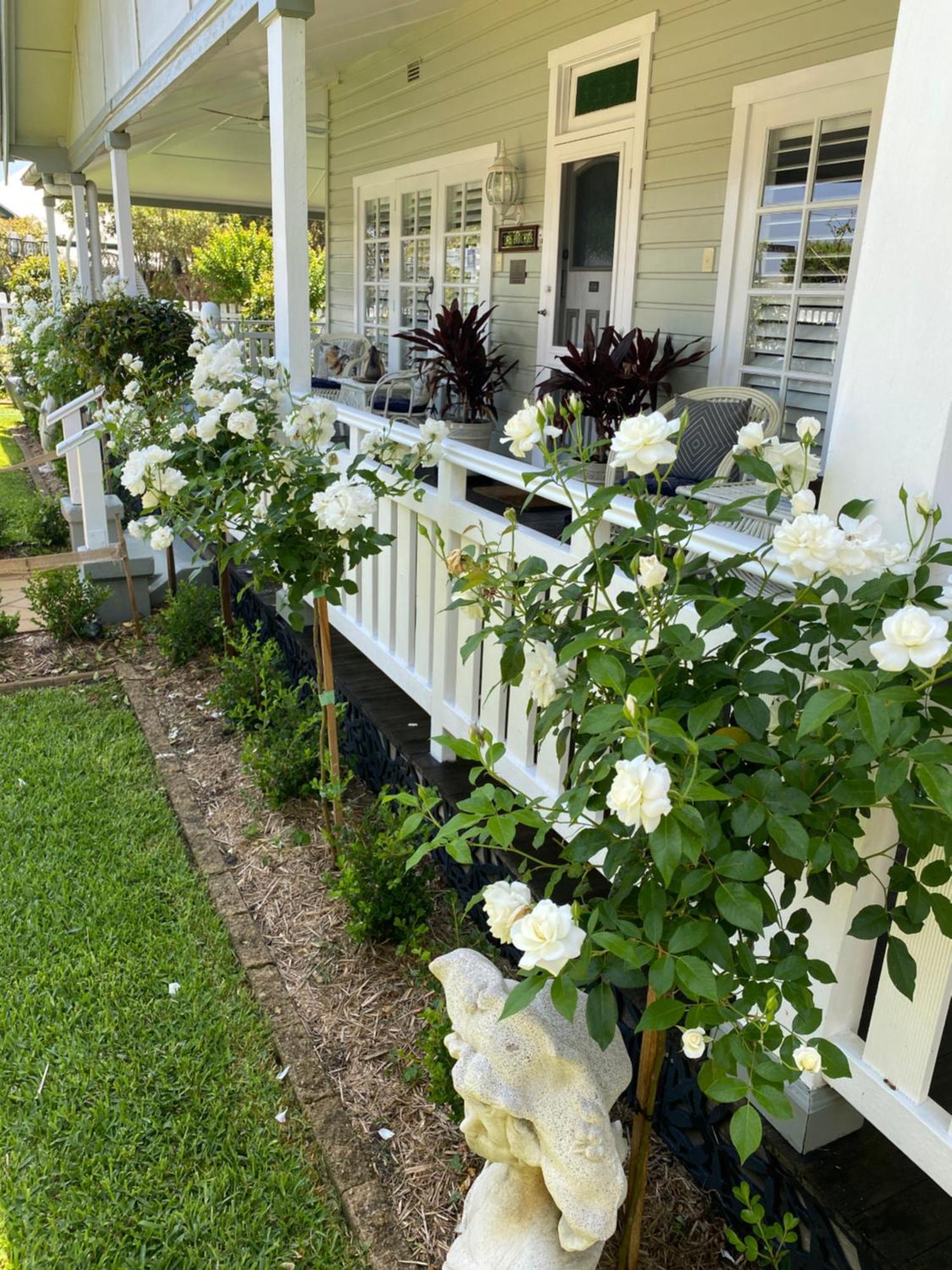 Birches B&B Taree Exterior foto